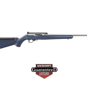 Ruger 10/22 250th Anniversary 22LR Stainless Limited Edition