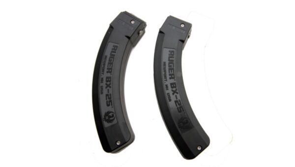 Ruger 25 Round 10/22 Mags 2 Pack