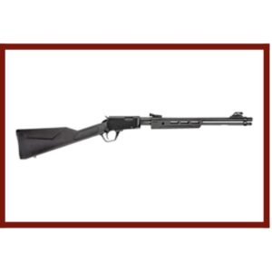 Rossi Gallery Pump Action 22WMR Magnum Win Mag 12+1 New In Box $405.99 MSRP. Grab it while you can at this price.